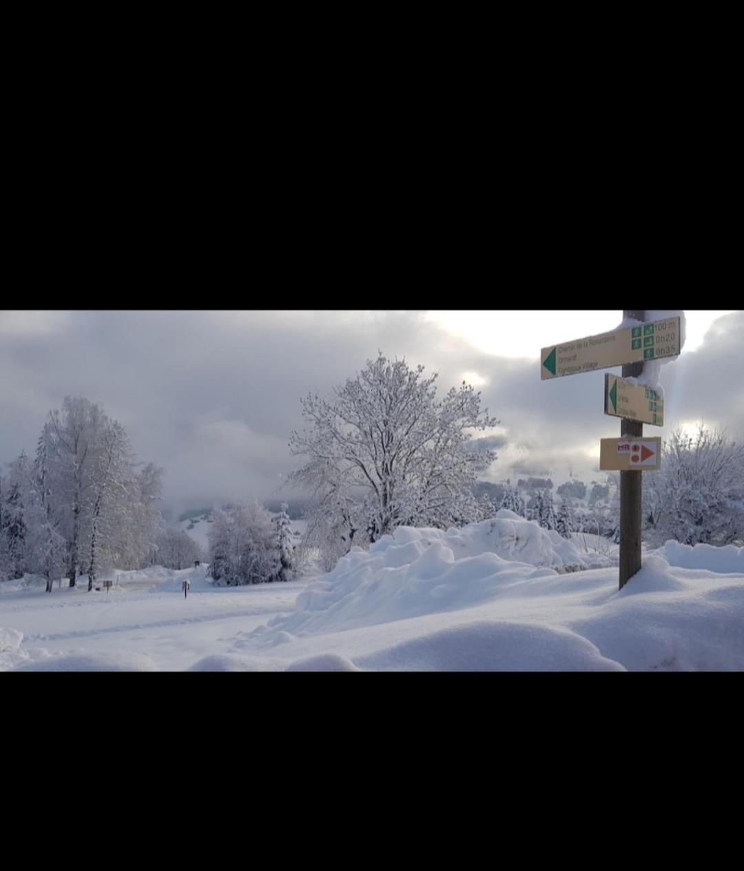 Studio Porte Du Mont Blanc Combloux Aux Pieds Des Pistes מראה חיצוני תמונה