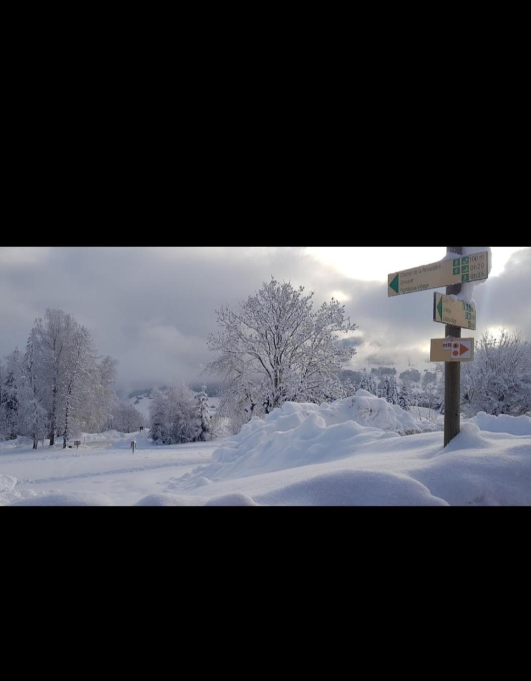 Studio Porte Du Mont Blanc Combloux Aux Pieds Des Pistes מראה חיצוני תמונה